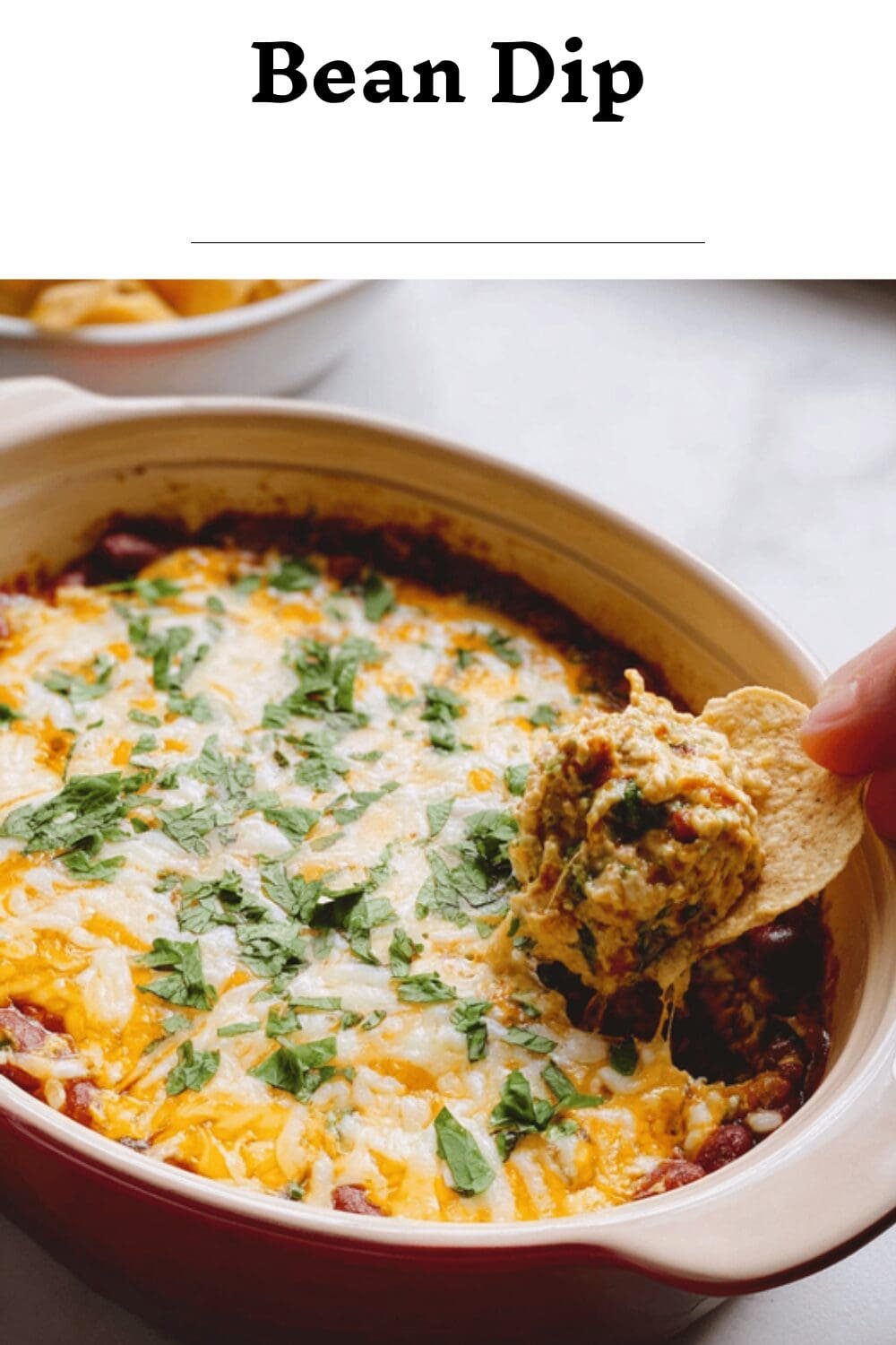 Bean Dip