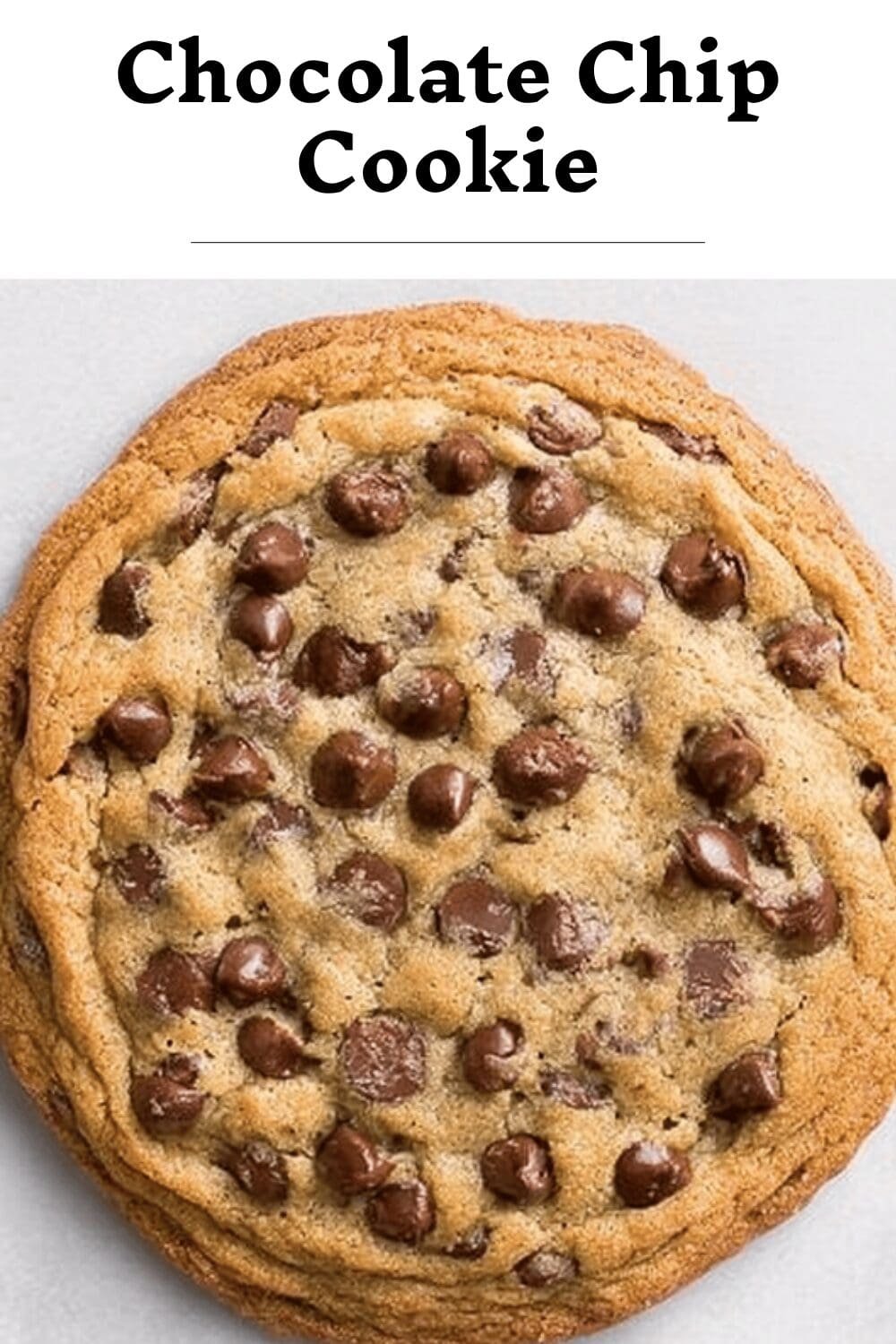 Chocolate Chip Cookie