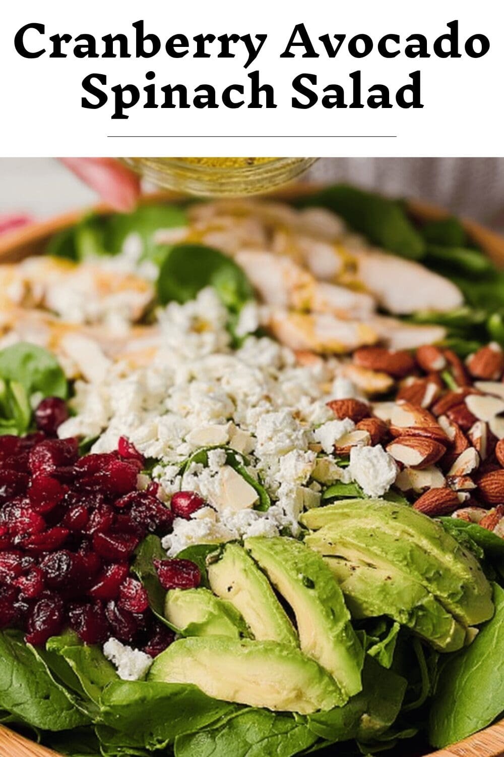 Cranberry Avocado Spinach Salad