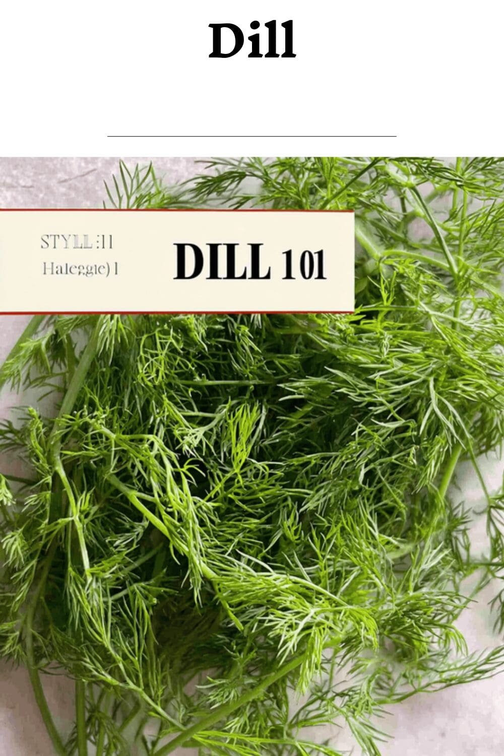 Dill