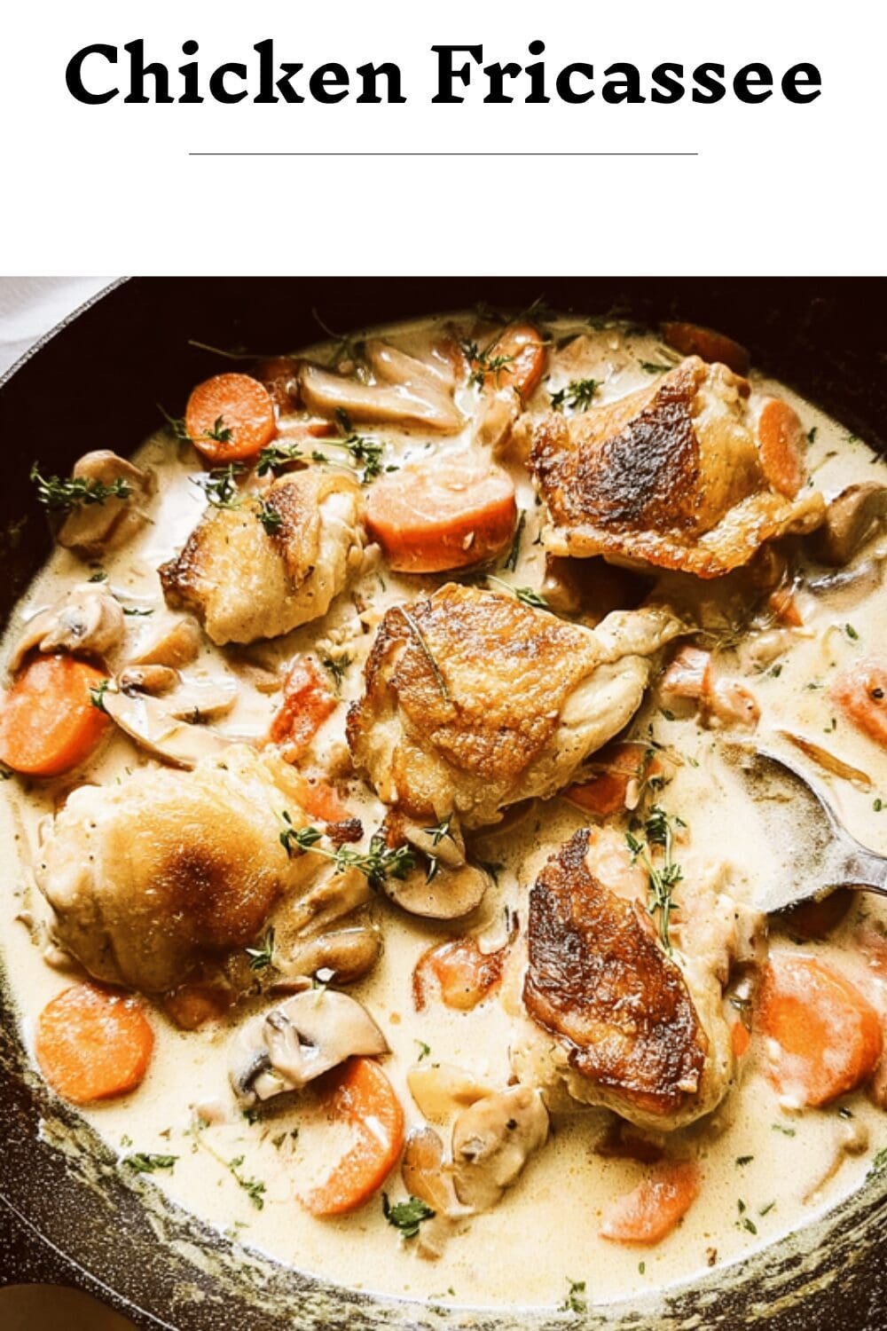 Chicken Fricassée Recipe Creamy French Chicken Stew With Classic Herbs 7 Chicken Fricassee