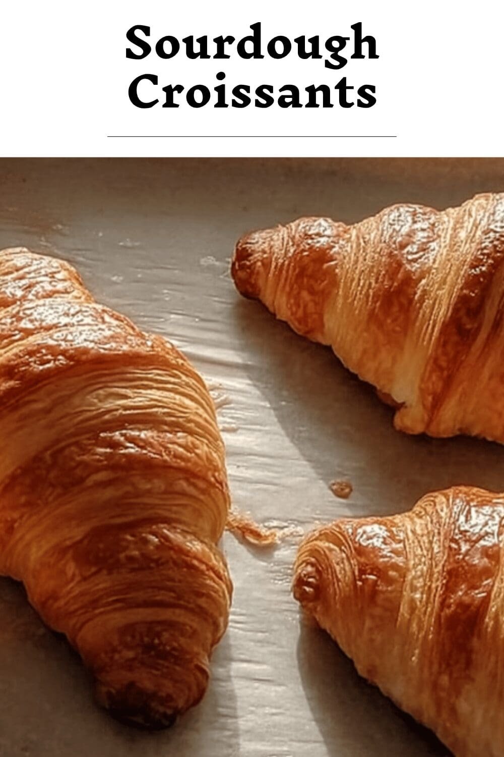 Sourdough Croissants