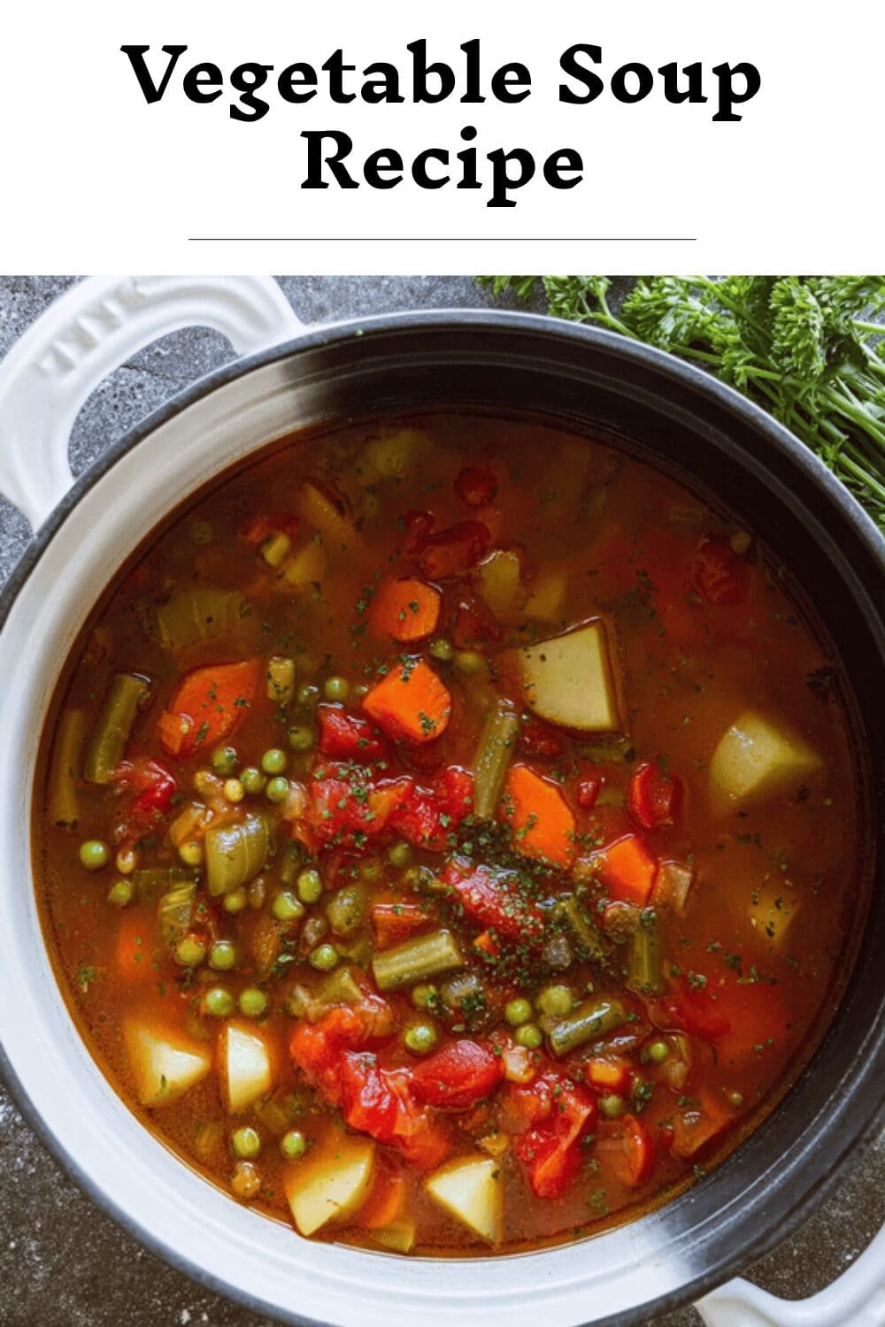 Vegetable Soup Recipe