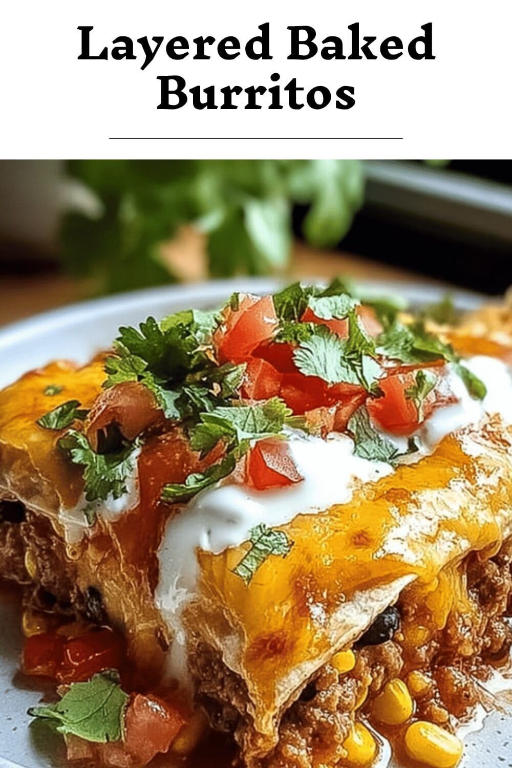 Layered Baked Burritos