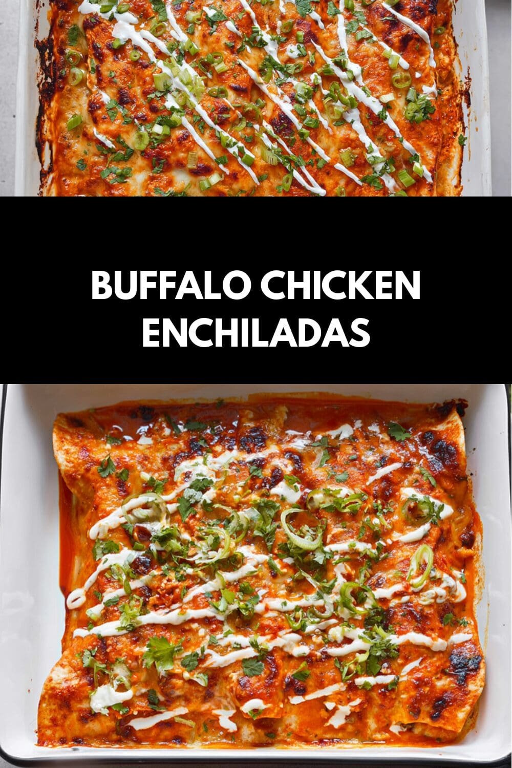 Buffalo Chicken Enchiladas
