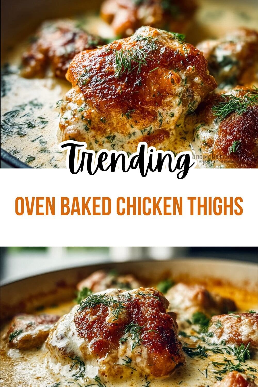 Oven Baked Chicken Thighs