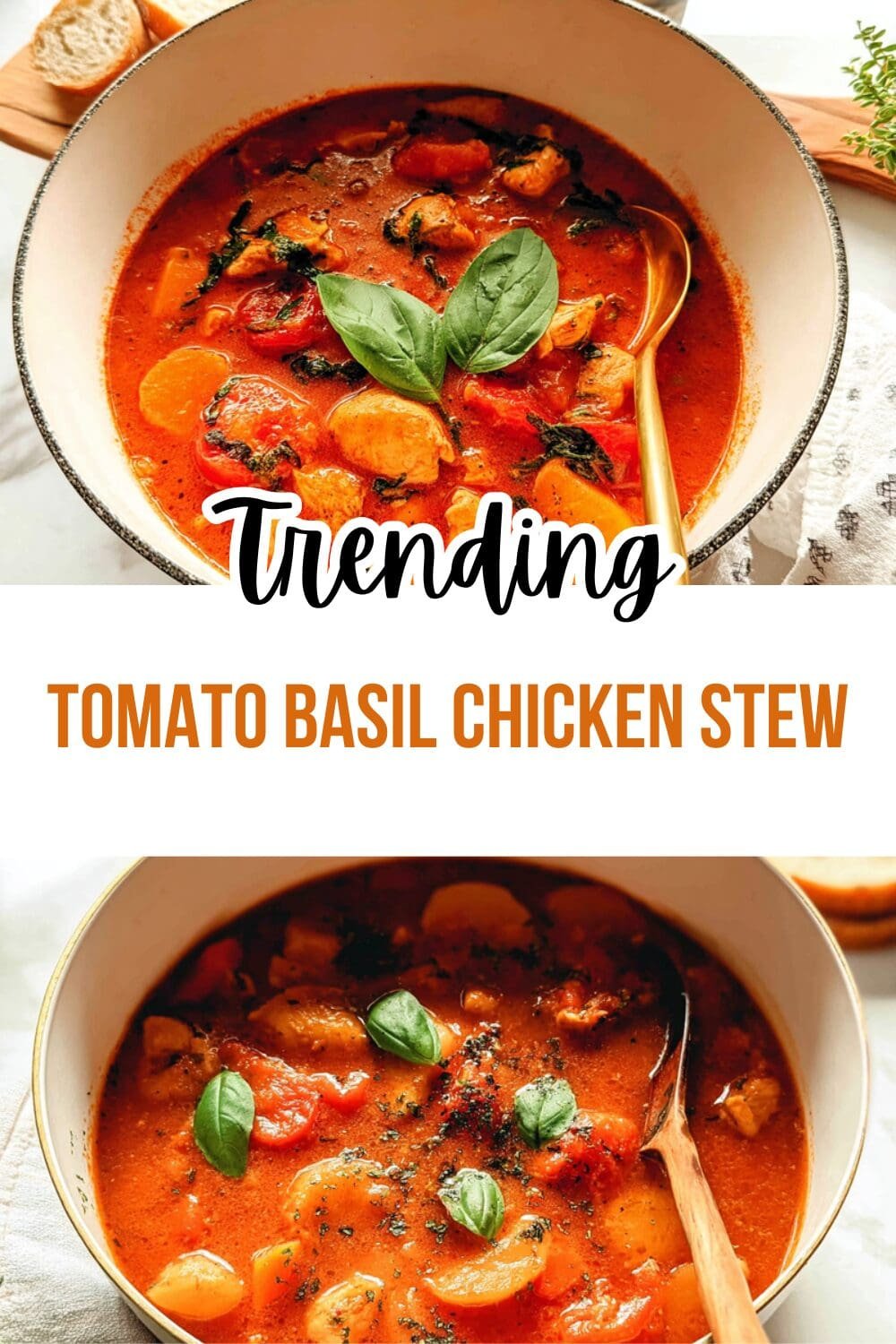 Tomato Basil Chicken Stew