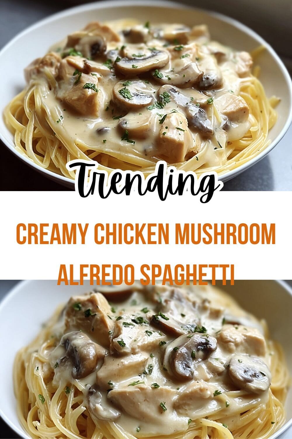 Creamy Chicken Mushroom Alfredo Spaghetti