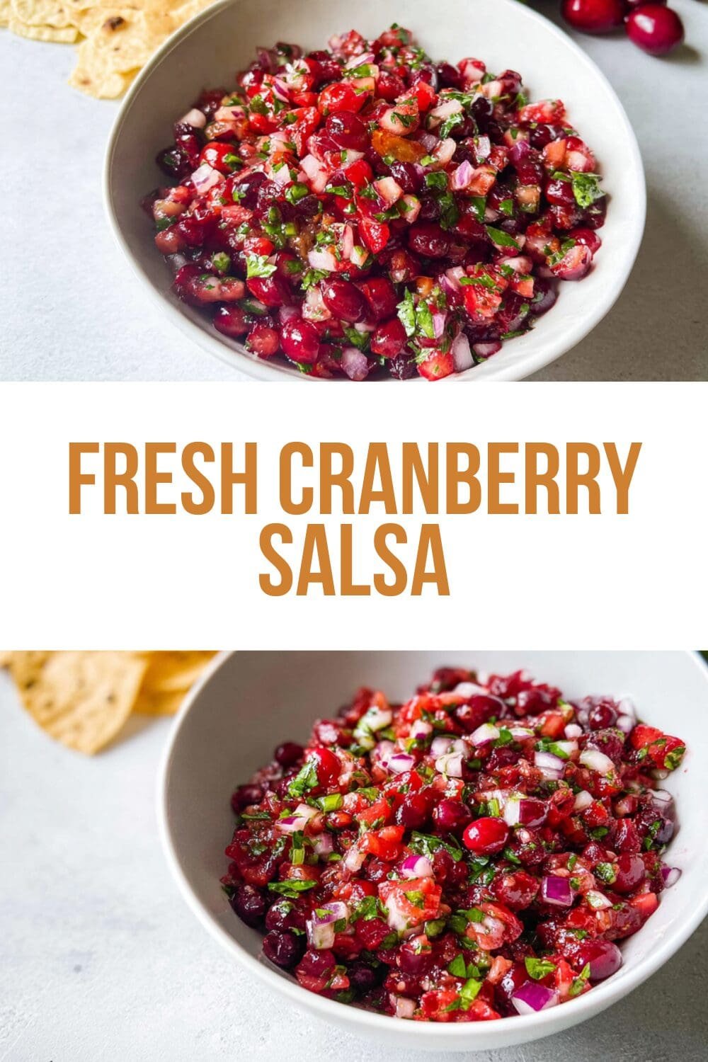 Fresh Cranberry Salsa